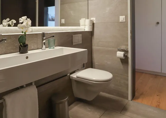 Allod Park Haus C 707 By Interhome * 达沃斯